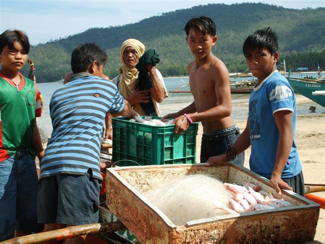 bangka2